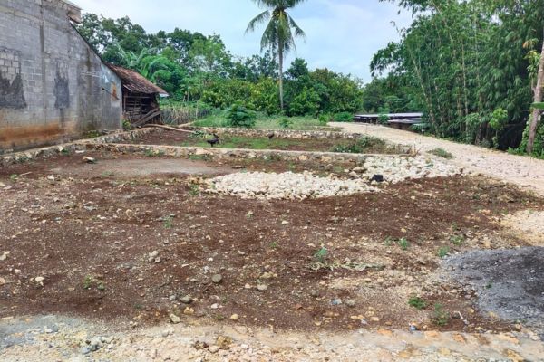 Jualan apa yang cuan? Jual tanah kavlingan!